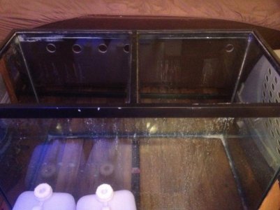 work 027 (800x600).jpg