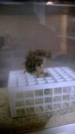 WP_20131123_027.jpg