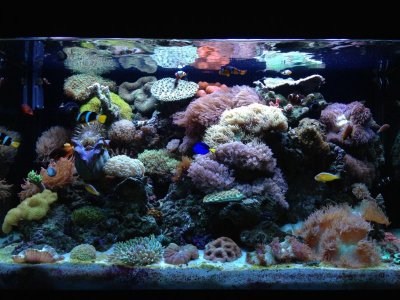 2013-12-15 19.25.14.jpg