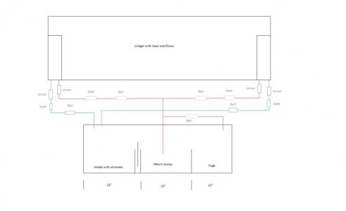 75gal sump with plumbing.jpg