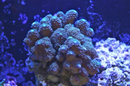 IMG_6484.jpg