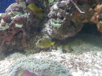 20131211_082808_154th Ave NE.jpg