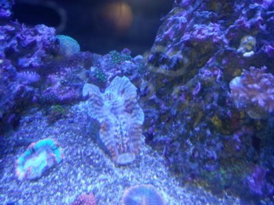2013-12-18 01.07.25.jpg