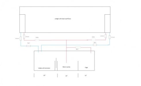 75gal sump with plumbingV2.jpg
