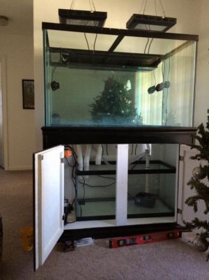 aquarium 003 (600x800).jpg