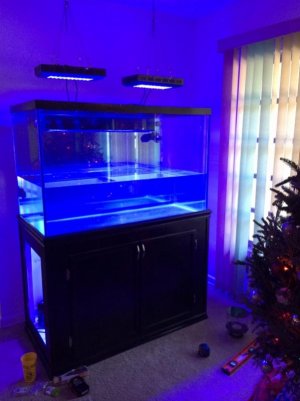 tank 001 (600x800).jpg