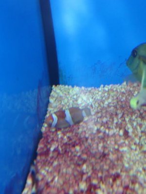 petco pics.jpg petco pics.jpg