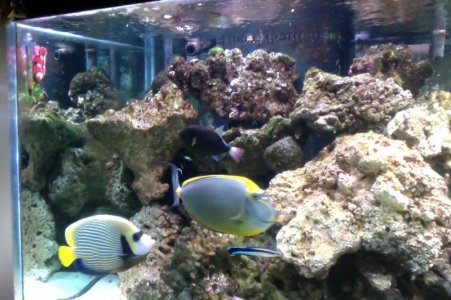 Photo on 12-25-2013 at 8.01 PM.jpg