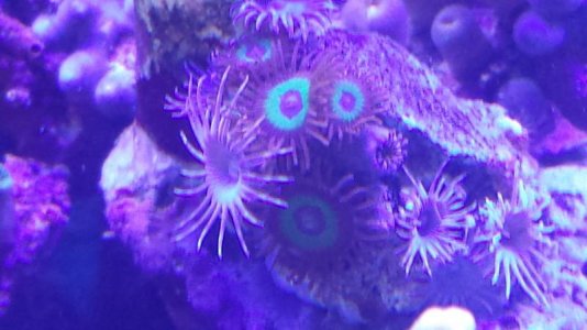 20131224_131025.jpg