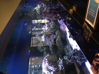 photo 1.jpg