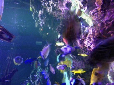 photo 2.jpg
