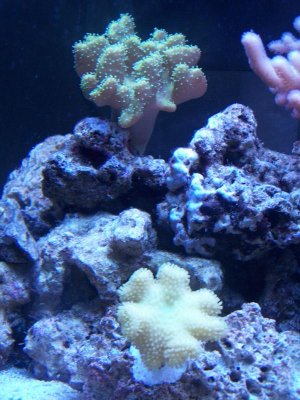 100_0390.jpg