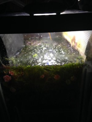 LED light sump.jpg
