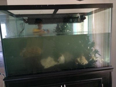 IMG_0148 (800x600).jpg