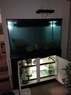 IMG_0151 (600x800).jpg