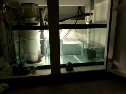 IMG_0155 (800x600).jpg