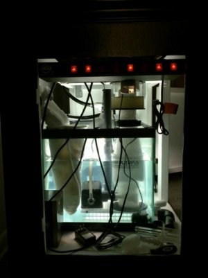 IMG_0156 (600x800).jpg