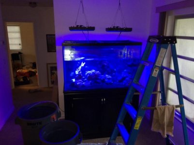 IMG_0213 (800x600).jpg