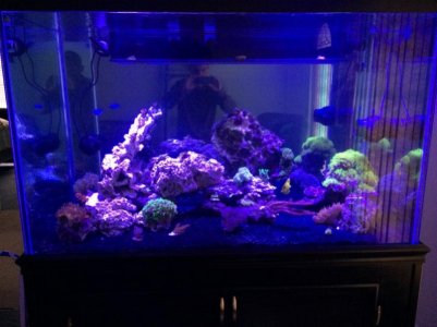 IMG_0250 (800x600).jpg