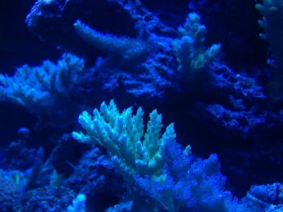 IMG_3890.jpg