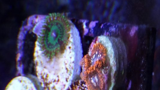 20131229_182448.jpg