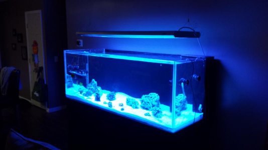 20140114_221505.jpg