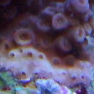 20131229_200416-1.jpg