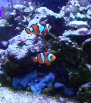 20131106_214356.jpg