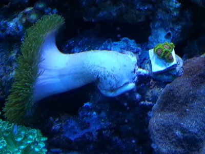 20140115_145028.jpg