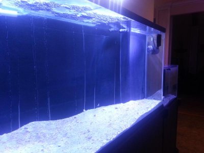 2013 samsung 086.jpg