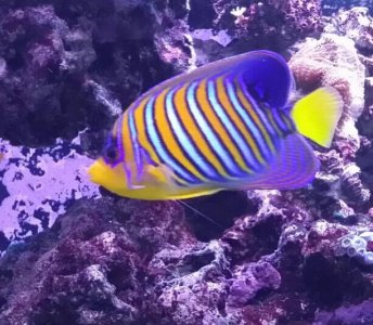 2014-01-15 22.35.41.jpg