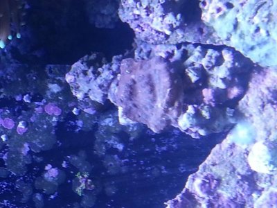 20131230_210106.jpg