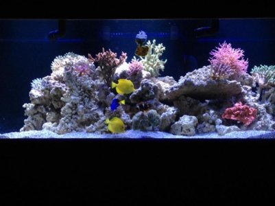 photo 2-1.jpg