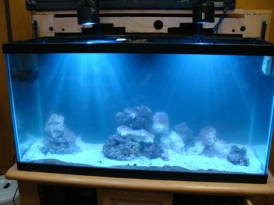 aquascape 2 001.jpg