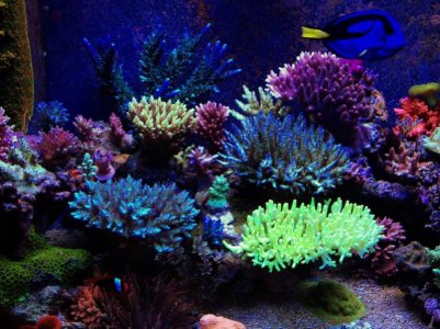 IMG_1875 (800x600).jpg