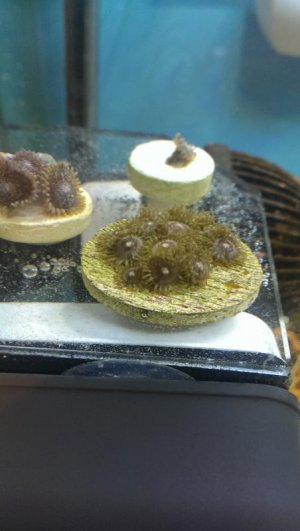 IMAG0024.jpg