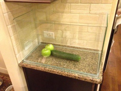 photo (1).jpg