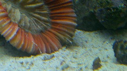 IMAG0608.jpg