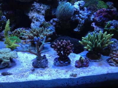 photo 8 (Medium).jpg