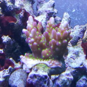 20131119_165758-2.jpg