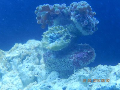 DSCN0202.jpg