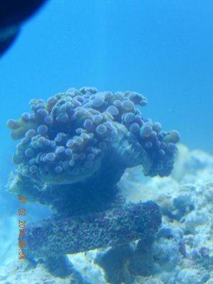 IMG_20140103_122819.jpg