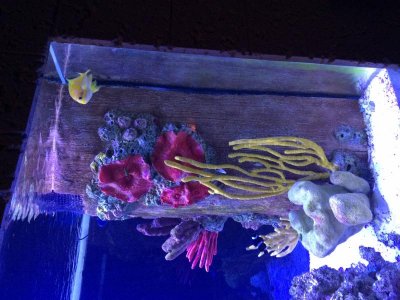 tank4.jpg