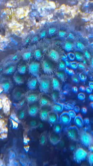 IMAG0910.jpg