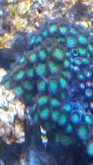 IMAG0916.jpg