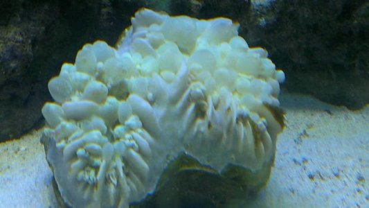 IMAG0610.jpg