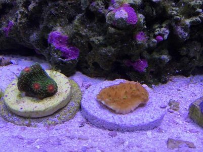IMG_7173.jpg