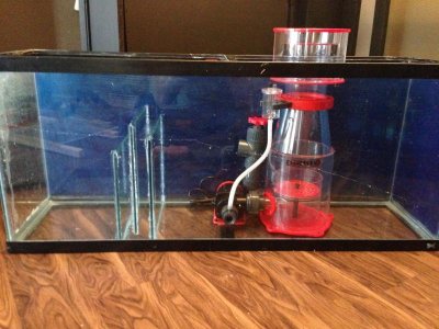Sump pic.jpg