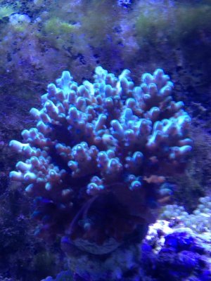 IMG_1829.jpg