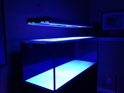 photo (1).jpg